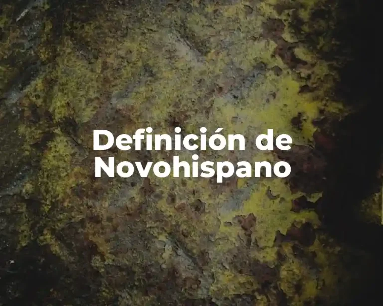Definición de Novohispano