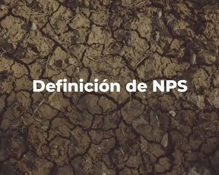 Definición de NPS