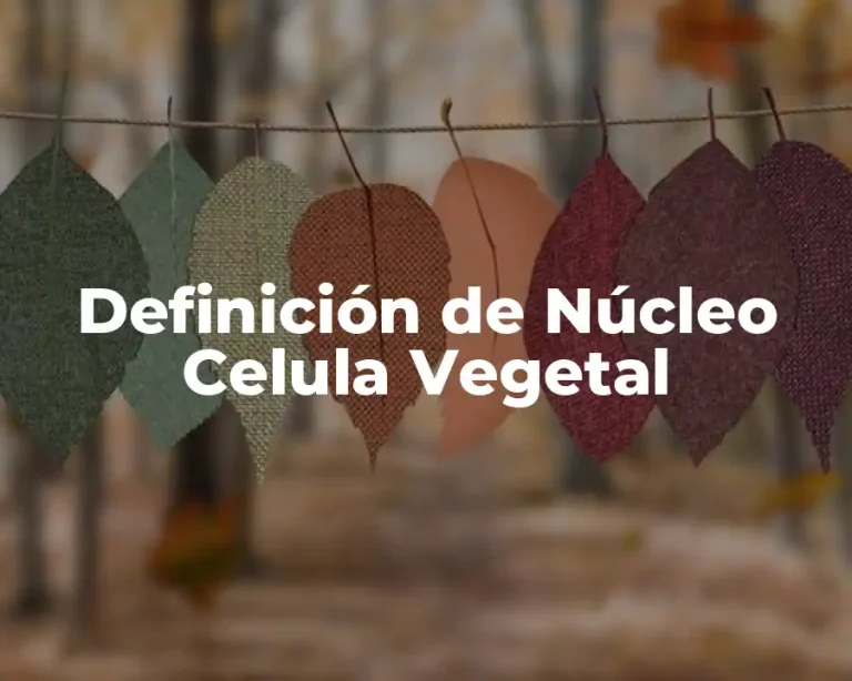 Definición de Núcleo Celula Vegetal