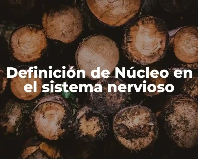 Definición de Núcleo en el sistema nervioso
