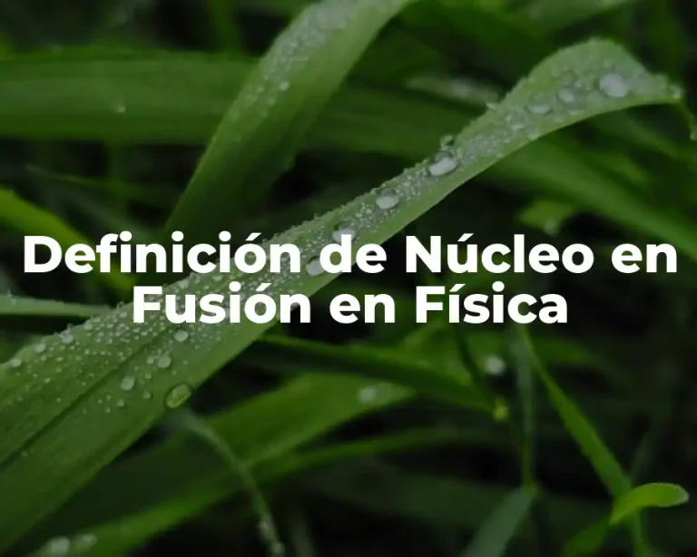 Definición de Núcleo en Fusión en Física