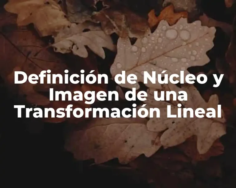 Definición de Núcleo y Imagen de una Transformación Lineal