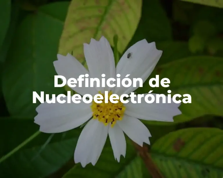 Definición de Nucleoelectrónica