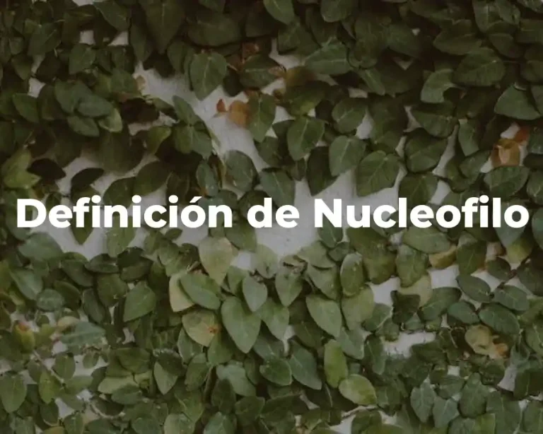 Definición de Nucleofilo