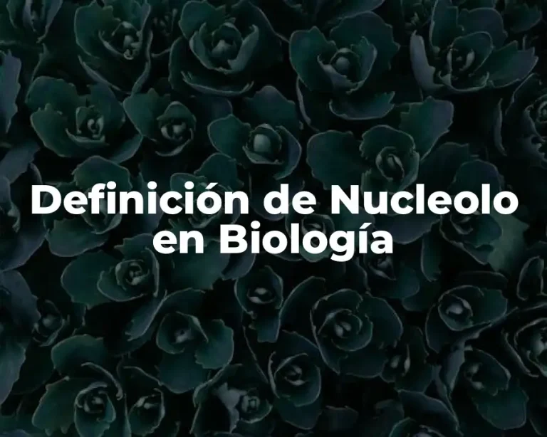 Definición de Nucleolo en Biología
