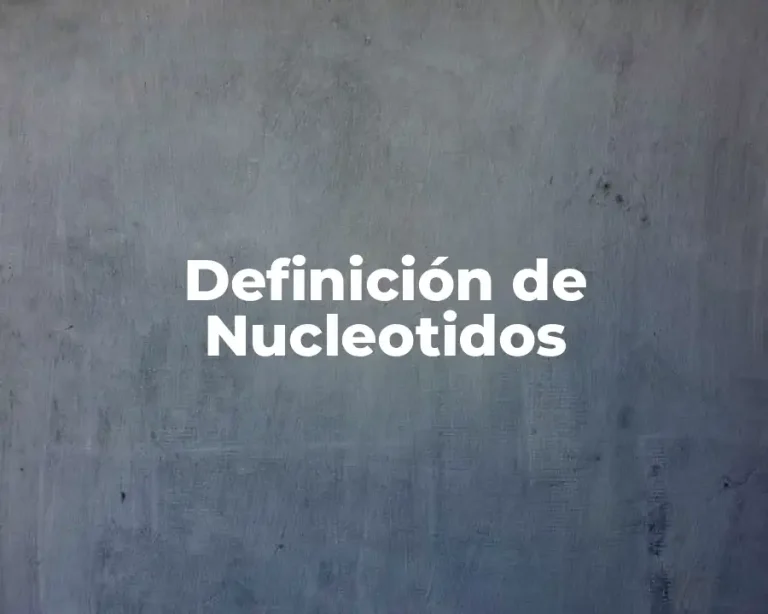 Definición de Nucleotidos