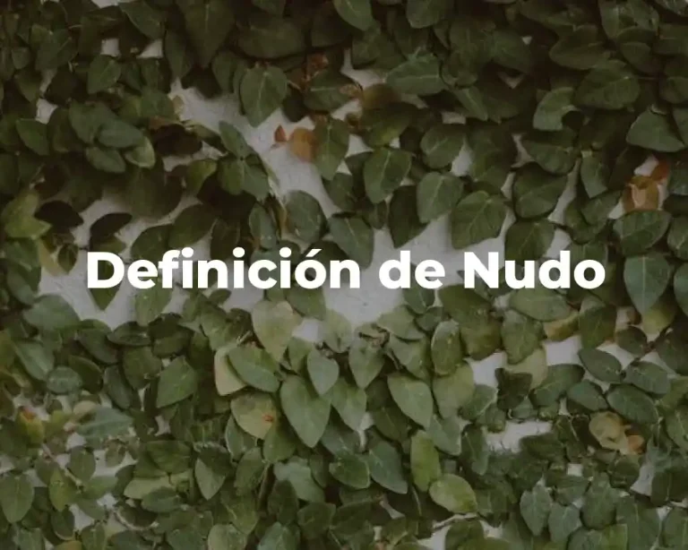 Definición de Nudo