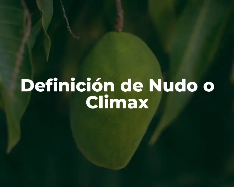 Definición de Nudo o Climax