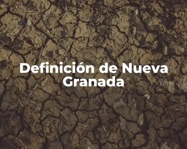 Definición de Nueva Granada