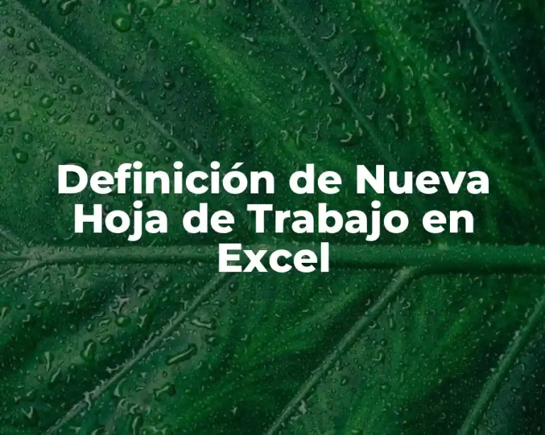 Definición de Nueva Hoja de Trabajo en Excel