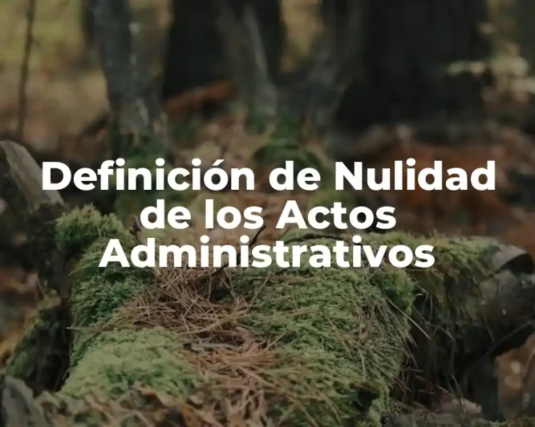 Definición de Nulidad de los Actos Administrativos