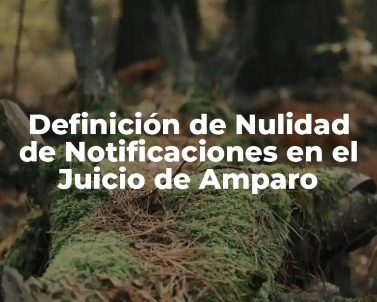 Definición de Nulidad de Notificaciones en el Juicio de Amparo