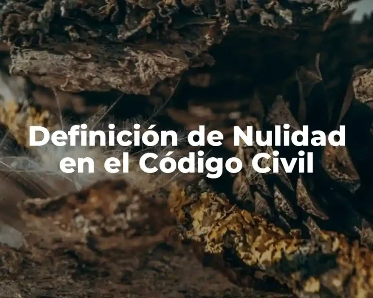 Definición de Nulidad en el Código Civil