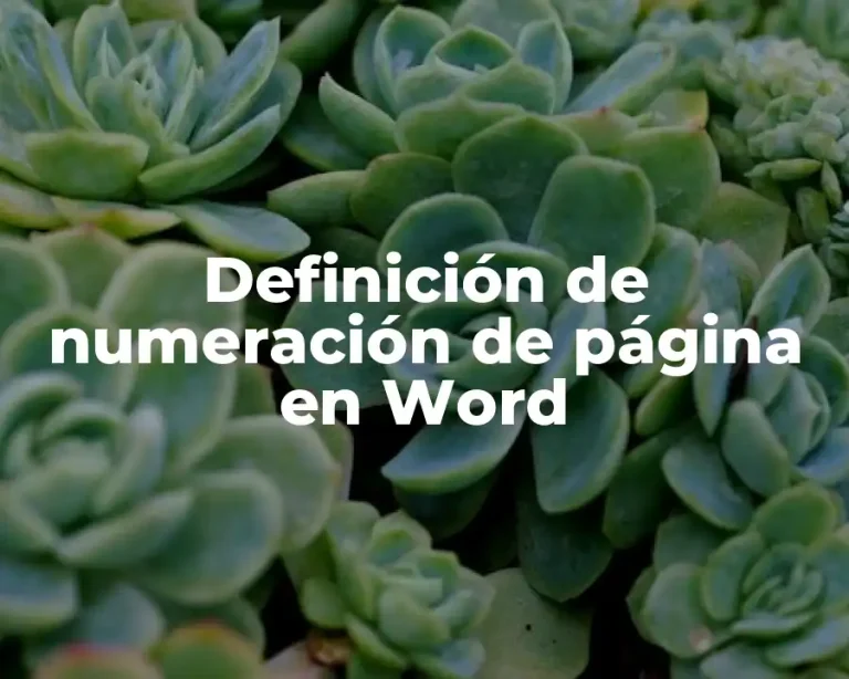 Definición de numeración de página en Word