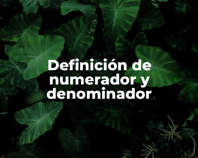 Definición de numerador y denominador