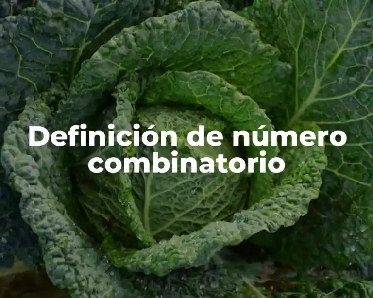 Definición de número combinatorio