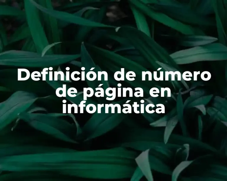 Definición de número de página en informática