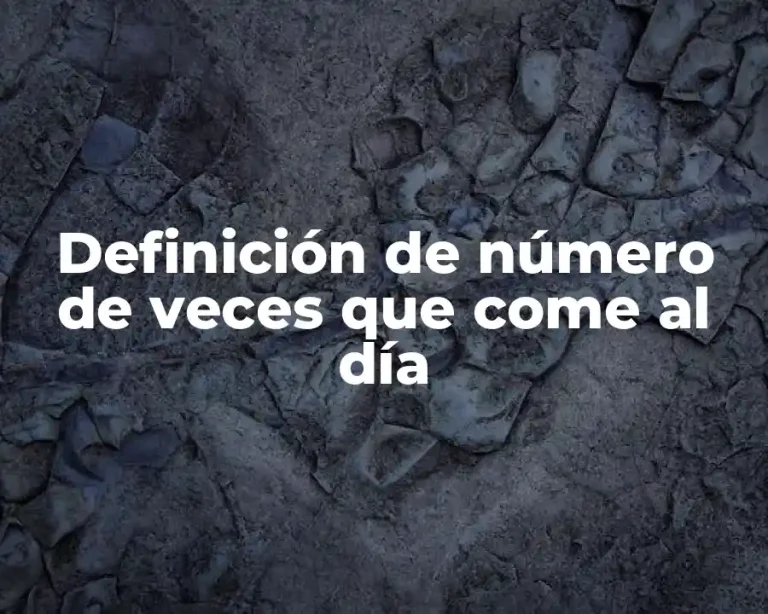 Definición de número de veces que come al día