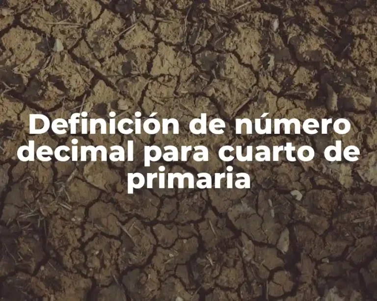 Definición de número decimal para cuarto de primaria