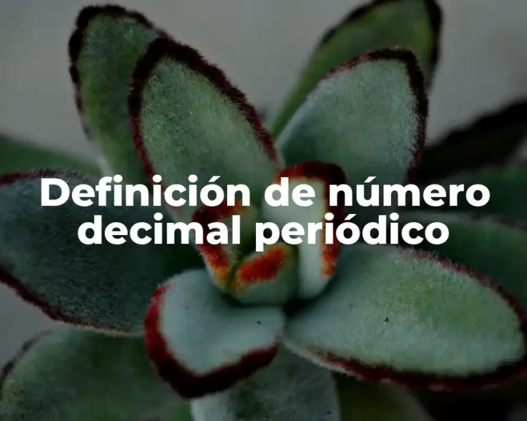 Definición de número decimal periódico
