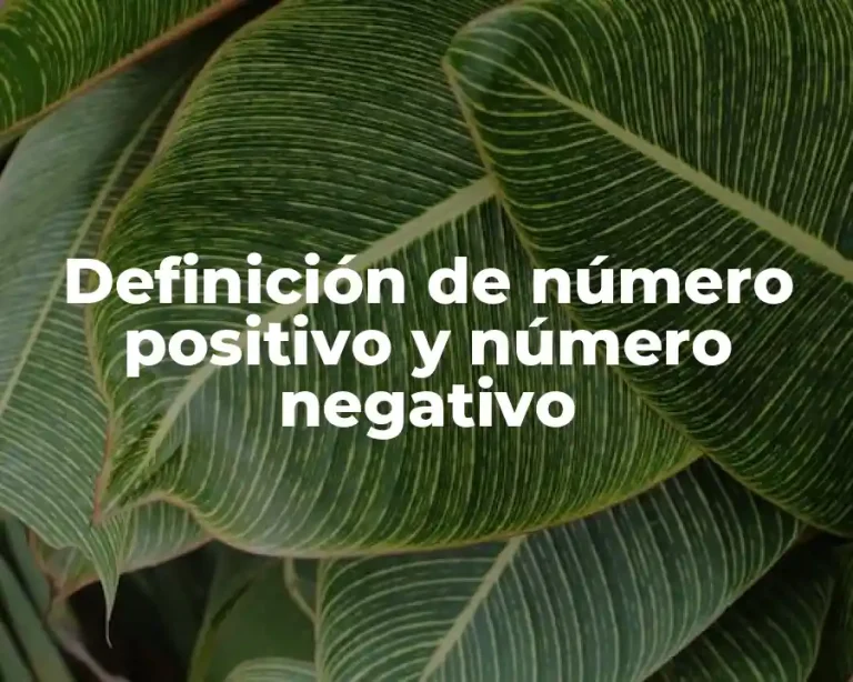Definición de número positivo y número negativo