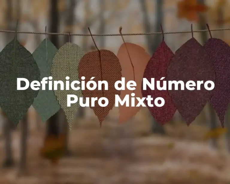Definición de Número Puro Mixto