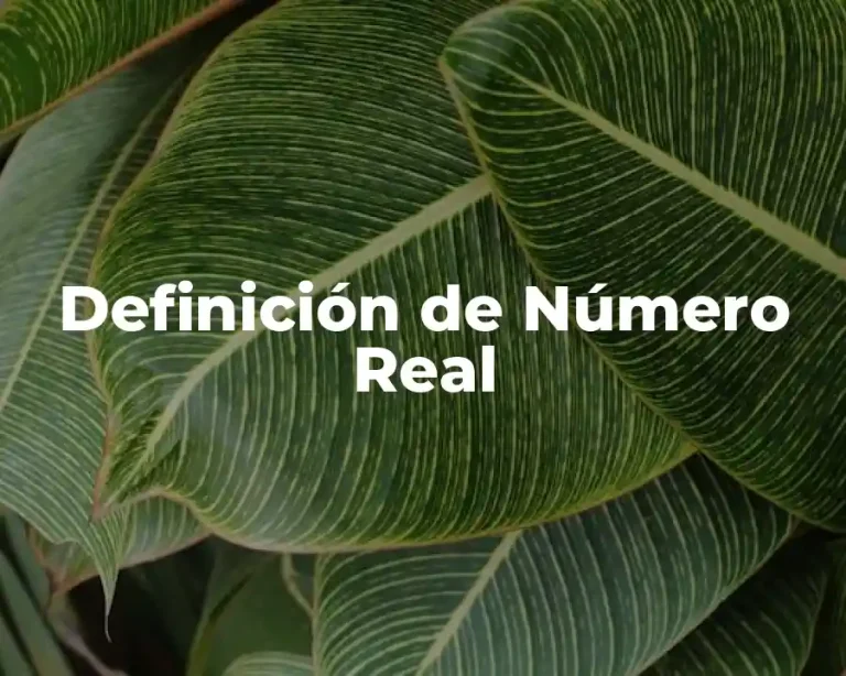 Definición de Número Real