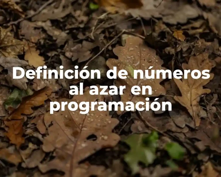 Definición de números al azar en programación