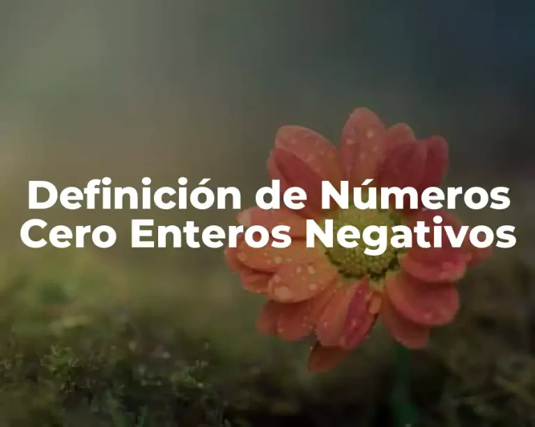 Definición de Números Cero Enteros Negativos