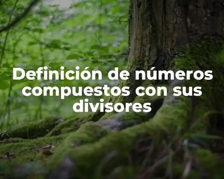 Definición de números compuestos con sus divisores