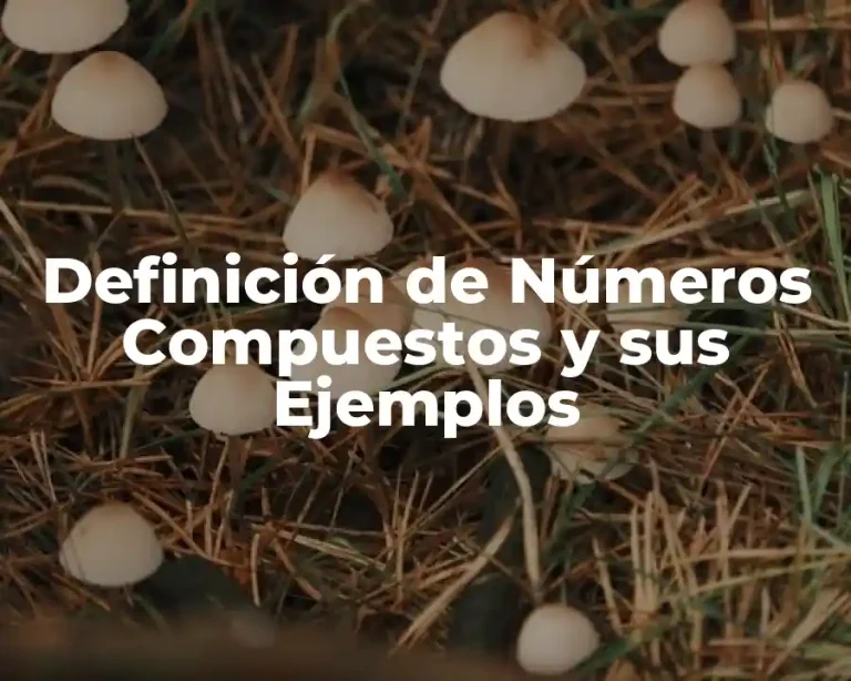 Definición de Números Compuestos y sus Ejemplos