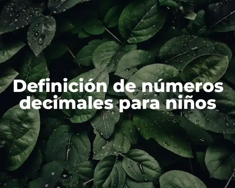 Definición de números decimales para niños