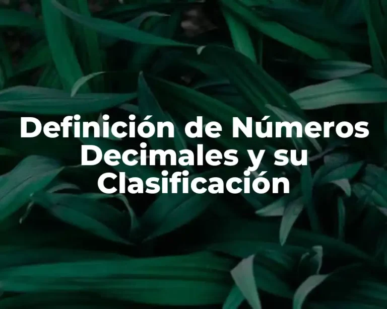 Definición de Números Decimales y su Clasificación