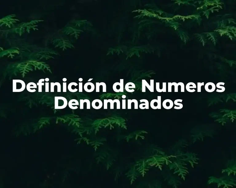 Definición de Numeros Denominados