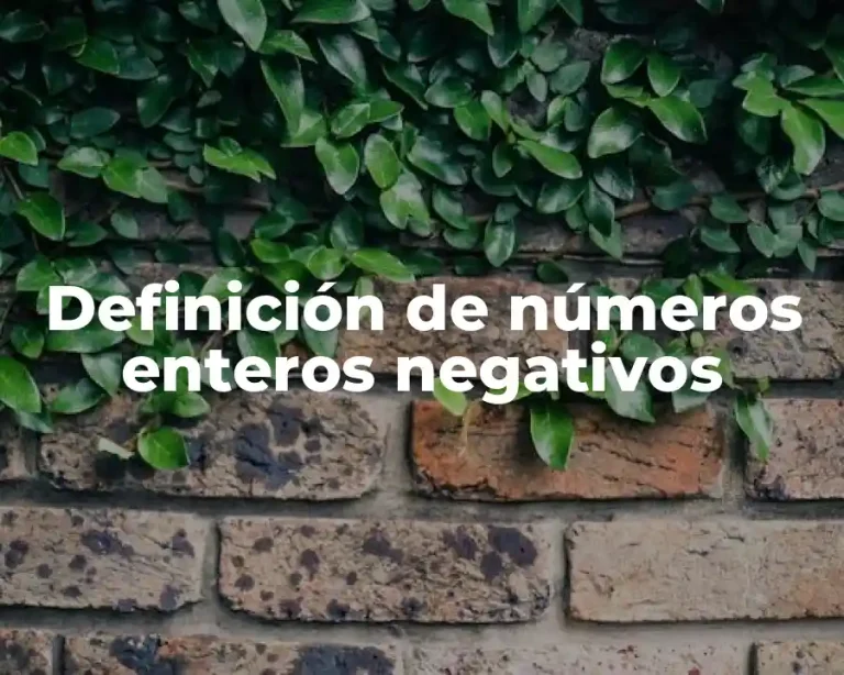 Definición de números enteros negativos