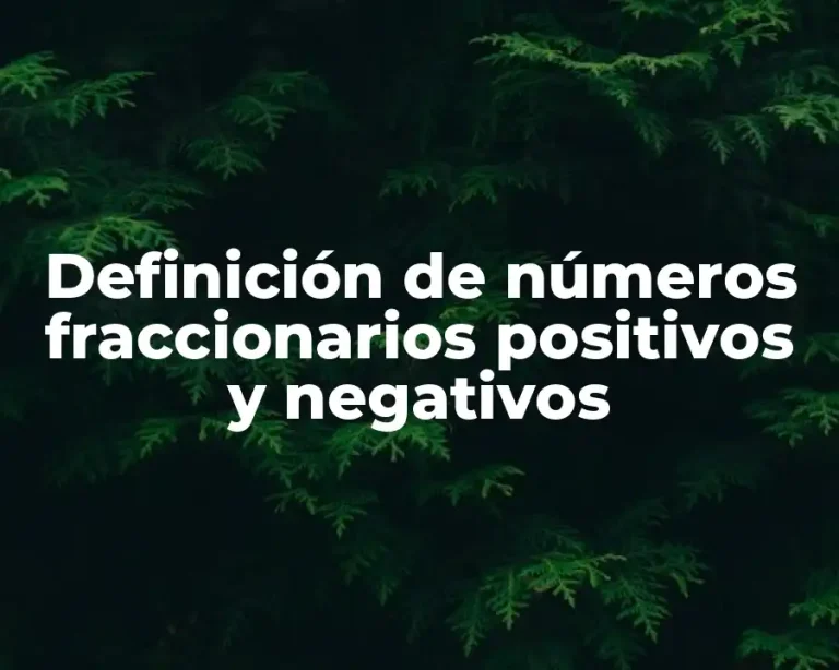 Definición de números fraccionarios positivos y negativos