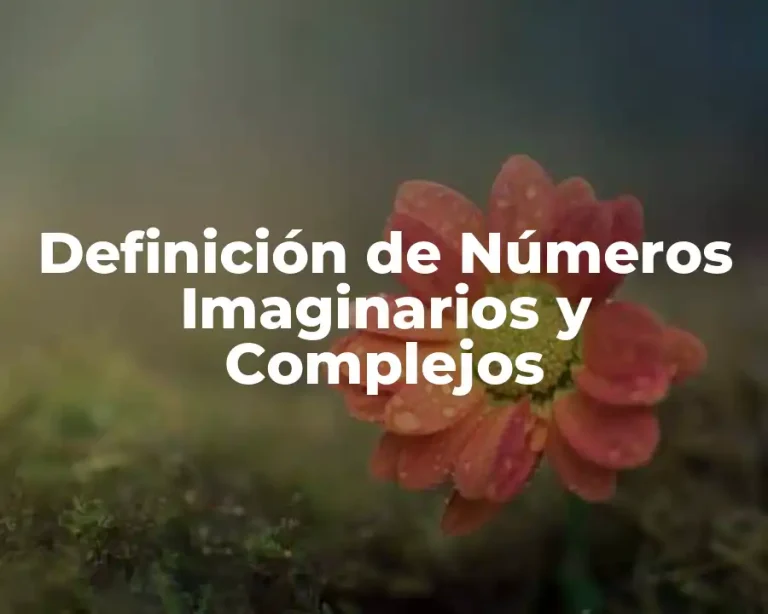 Definición de Números Imaginarios y Complejos