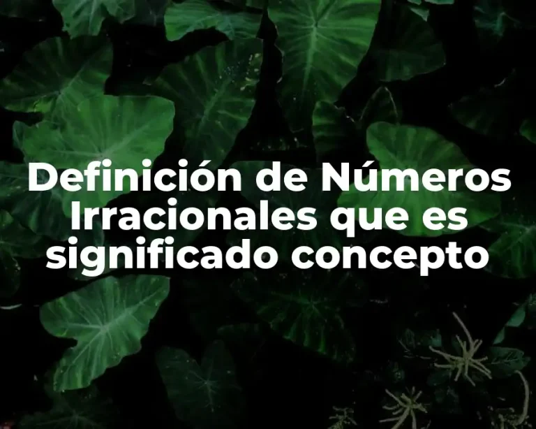 Definición de Números Irracionales que es significado concepto