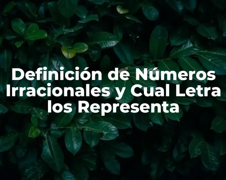 Definición de Números Irracionales y Cual Letra los Representa