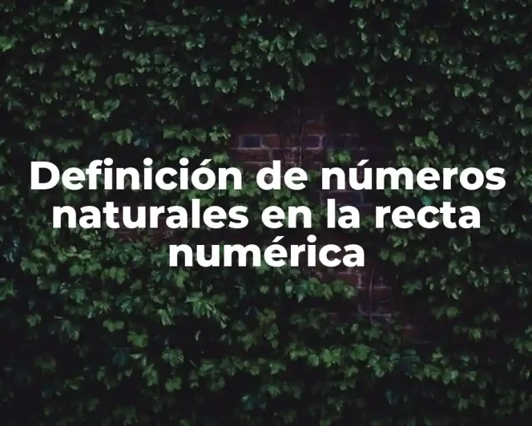 Definición de números naturales en la recta numérica