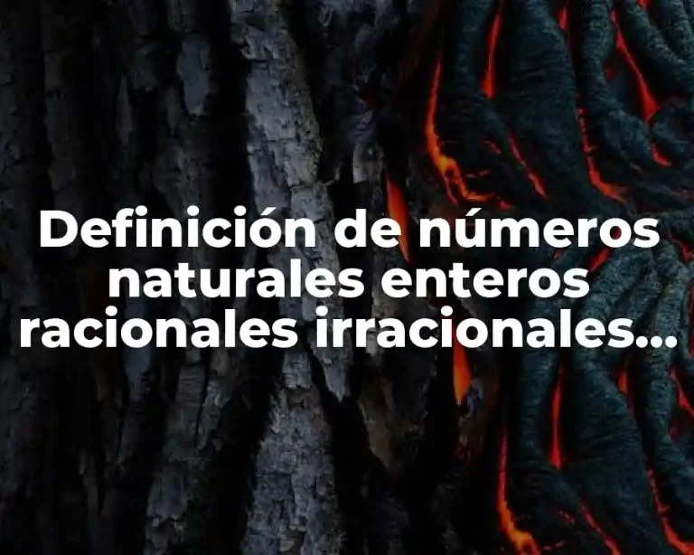 Definición de números naturales enteros racionales irracionales reales