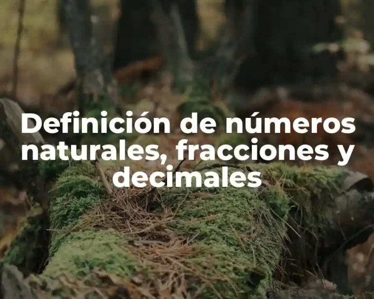 Definición de números naturales, fracciones y decimales