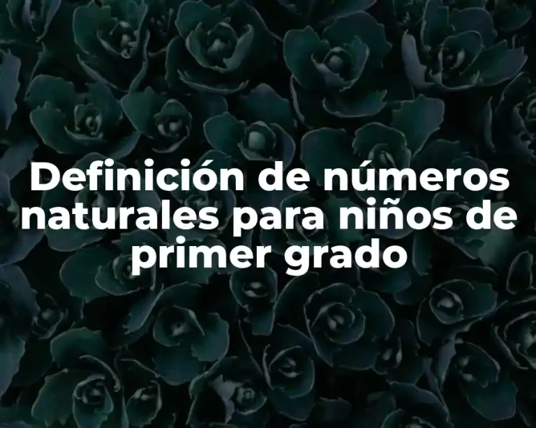 Definición de números naturales para niños de primer grado