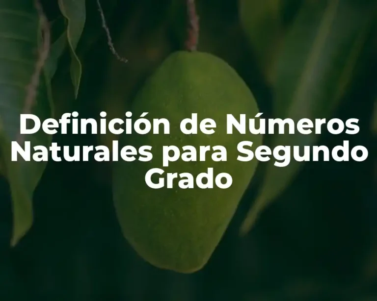 Definición de Números Naturales para Segundo Grado