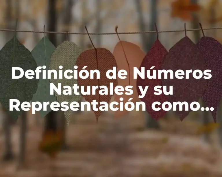 Definición de Números Naturales y su Representación como Conjunto