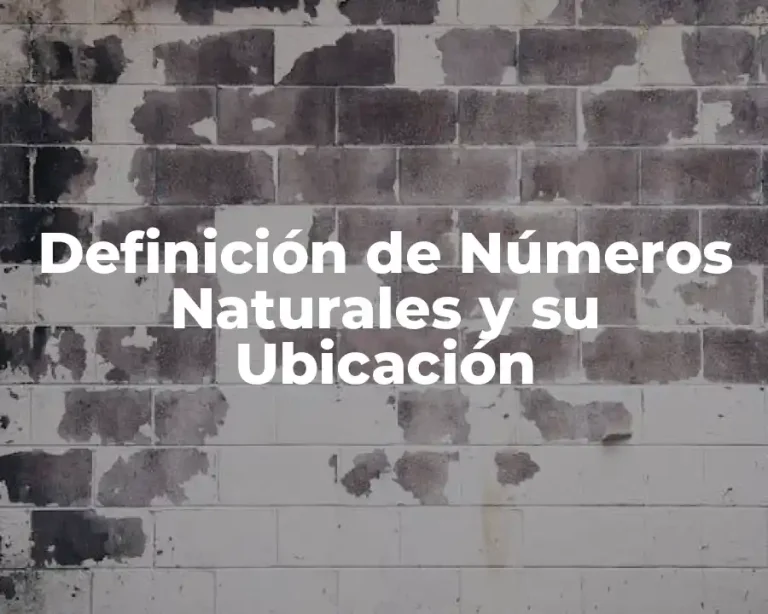 Definición de Números Naturales y su Ubicación