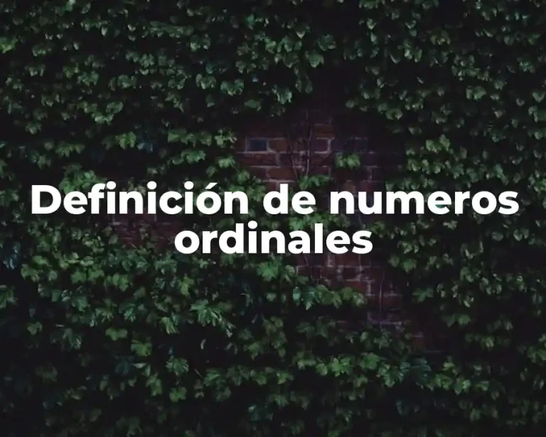 Definición de numeros ordinales