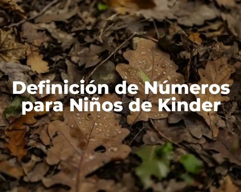 Definición de Números para Niños de Kinder