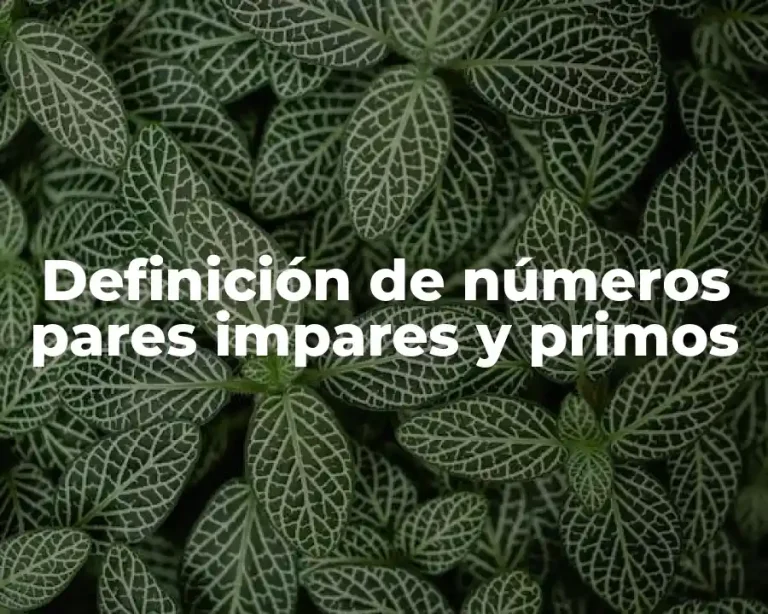 Definición de números pares impares y primos