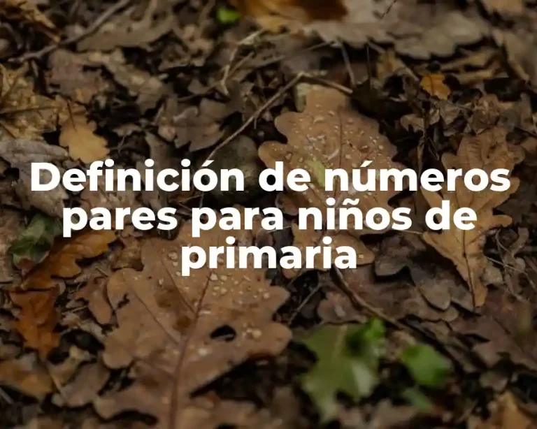 Definición de números pares para niños de primaria